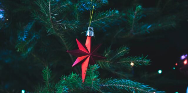 red star ornament on pine branches